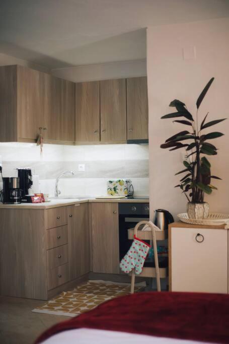 Το Σπίτι Της Ευτυχίας Στούντιο Apartment Karpenisi Exterior photo